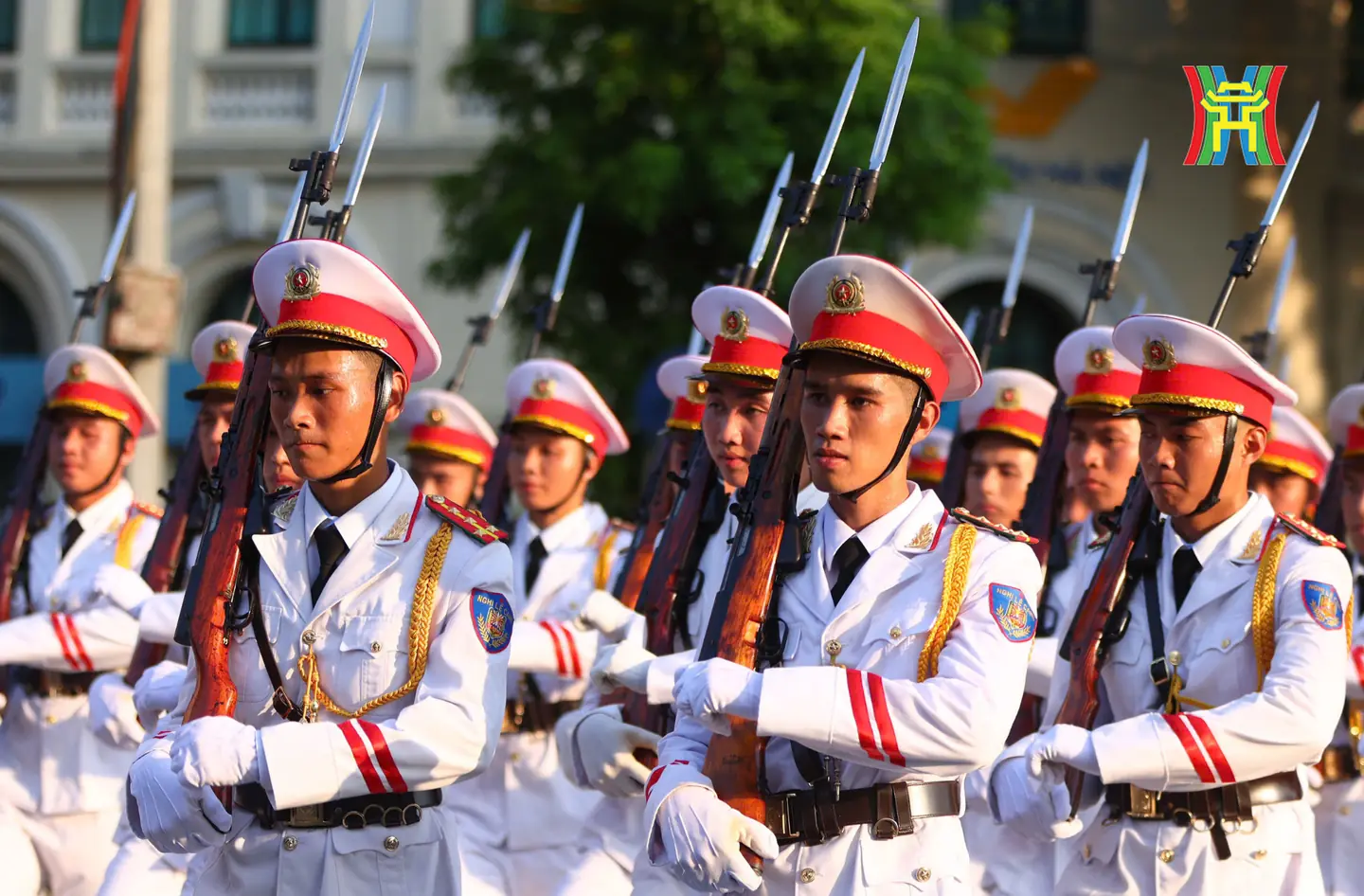 Đài PTTH Hà Nội